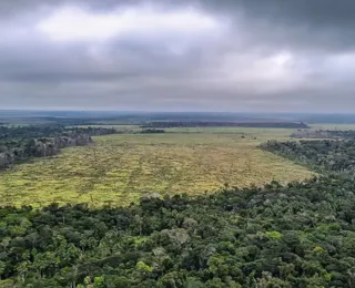 Relatora no STF amplia prazos para plano de proteção da Amazônia