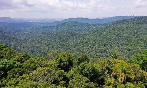 Material traça um panorama sobre a situação na região amazônica