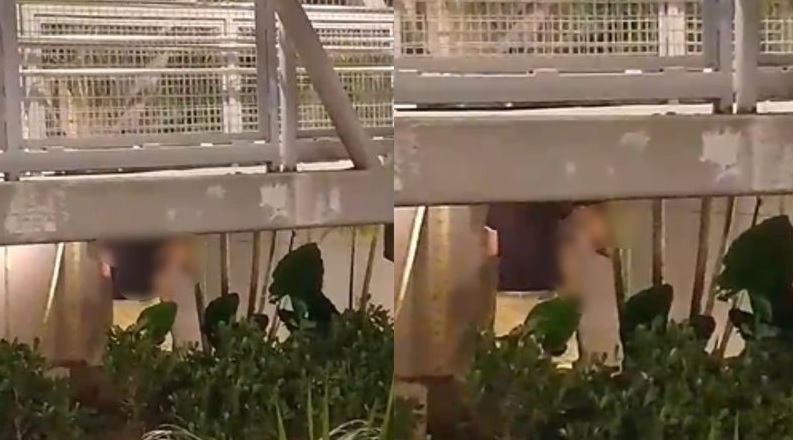 Vídeo: casal é flagrado fazendo sexo em passarela do Iguatemi
