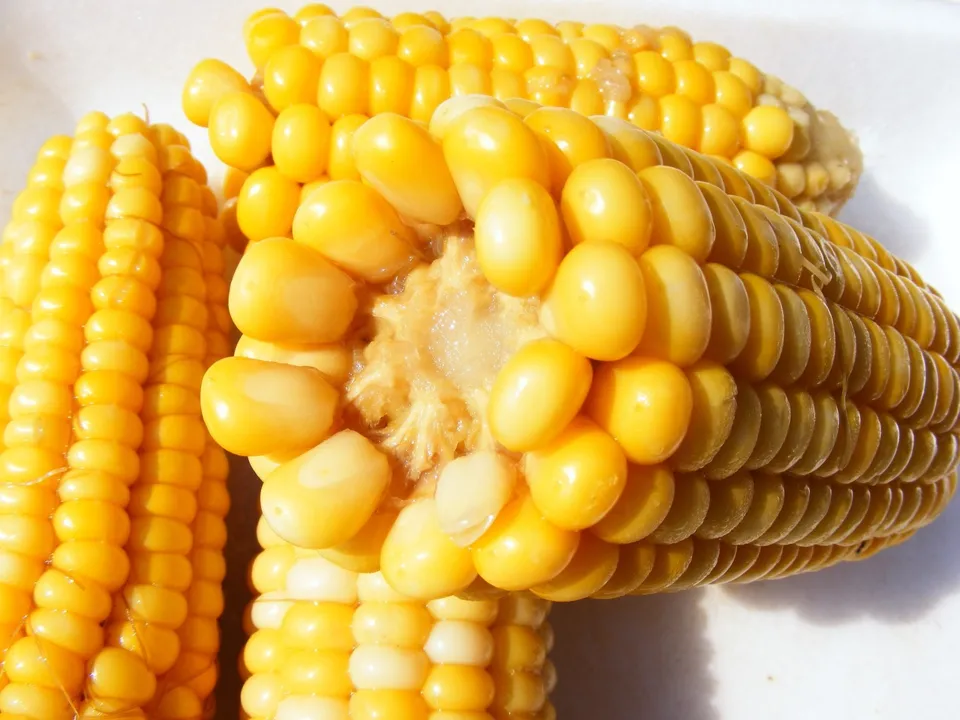 Imagem ilustrativa da imagem Amendoim e milho são as estrelas das mesas juninas