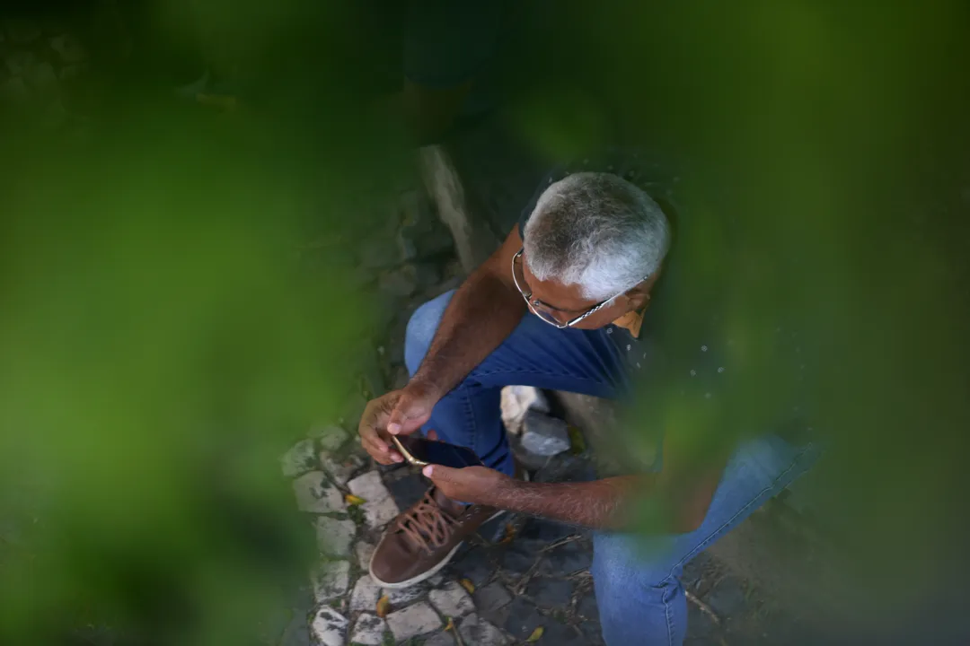 Imagem ilustrativa da imagem Bahia já registrou mais de 123 mil golpes e fraudes digitais até março