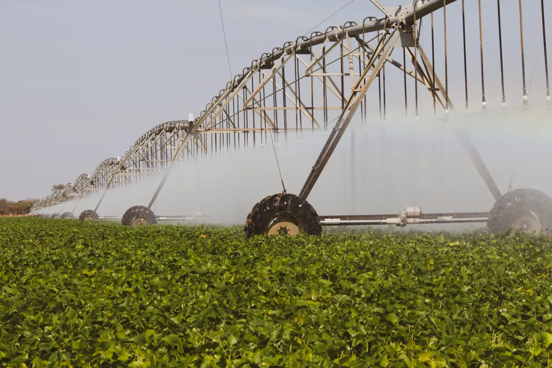 Uso de sistemas de irrigação eficientes colabora para produzir com sustentabilidade