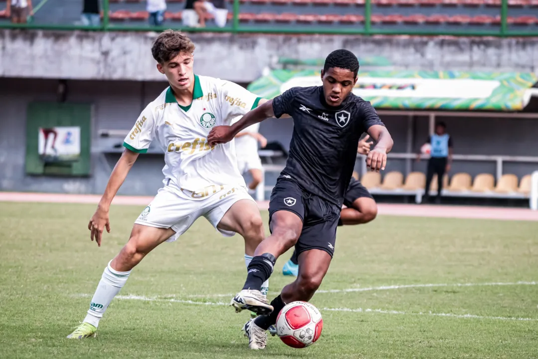 Duelo da semifinal entre Palmeiras e Botafogo