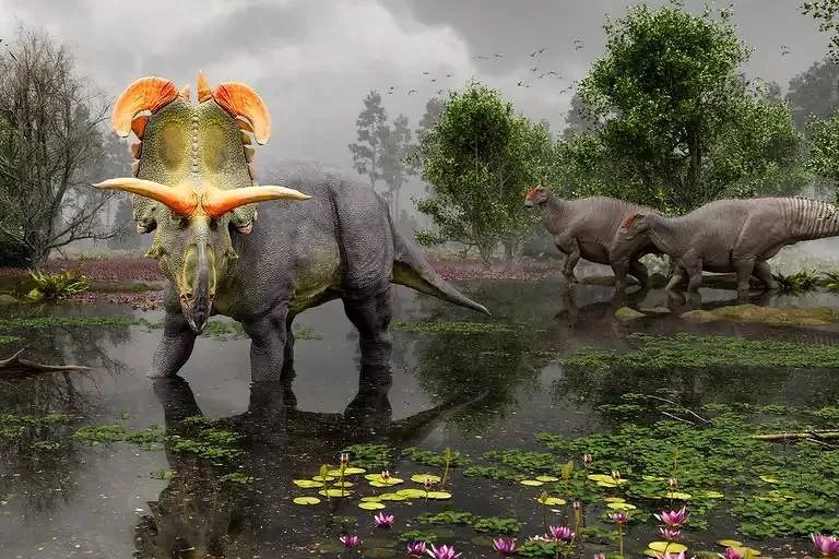 O Lokiceratops habitava os pântanos e as planícies ao longo da costa leste da Laramidia