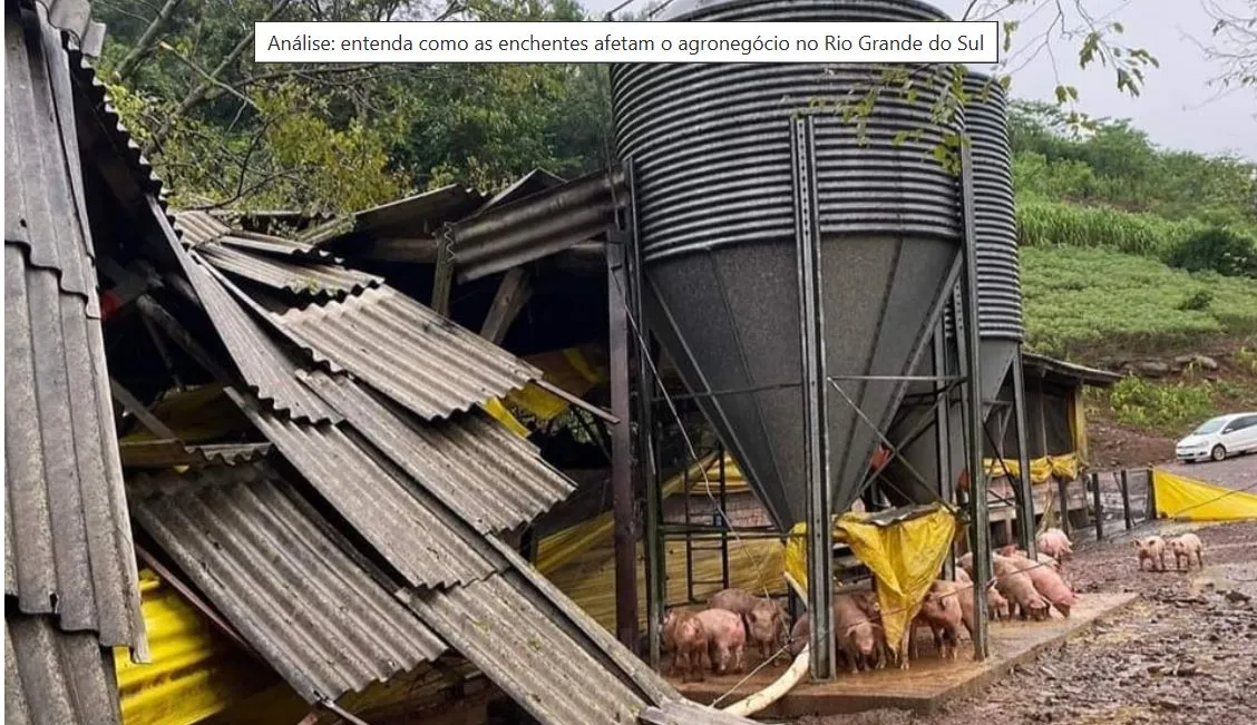 Produtores de proteína animal que foram mais prejudicados estão na região central do território gaúcho