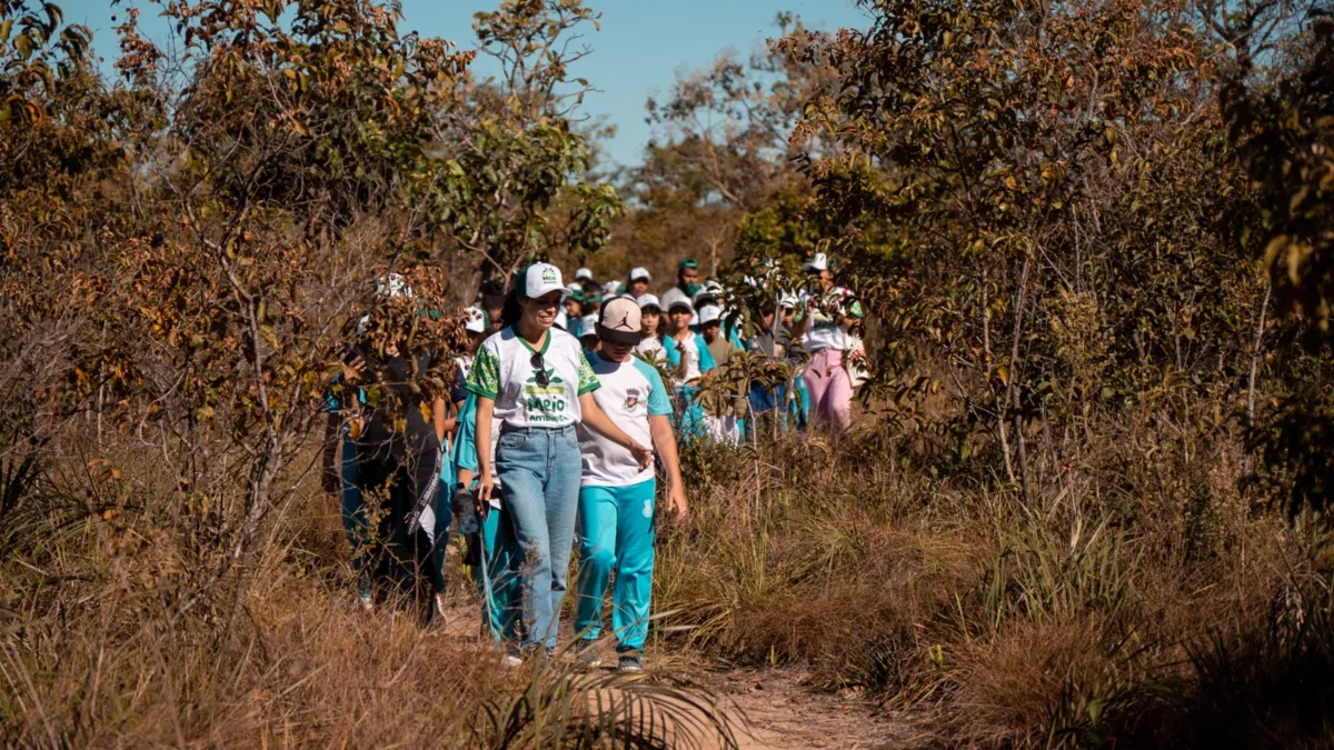 Estudantes fazem caminhada na Trilha do Tatu