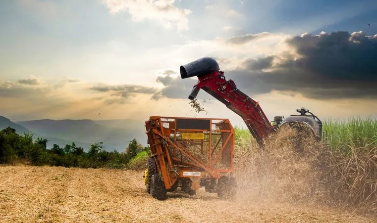 Exportações do agronegócio brasileiro atingem US$ 15,20 bi em junho e US$ 82,39 bi no semestre