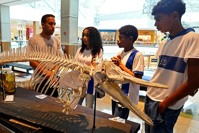 Estudantes da rede municipal  visitam a exposição