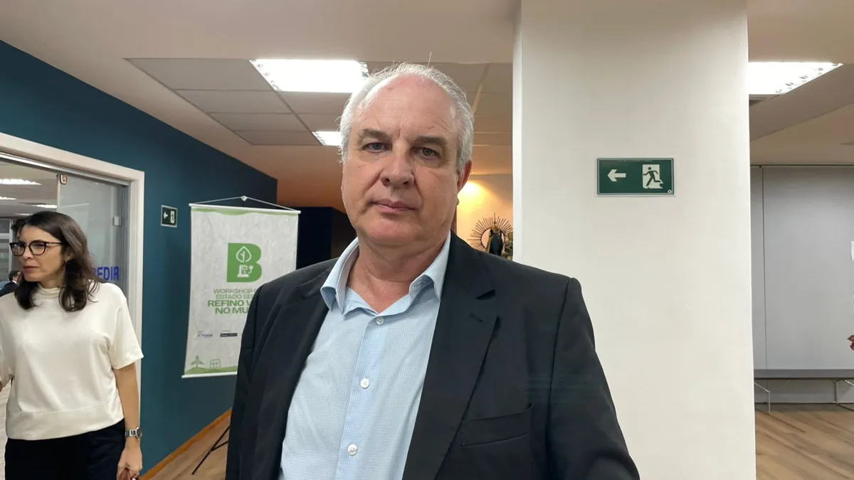 Roberto Veiga, vice-presidente da Goldwind no Brasil