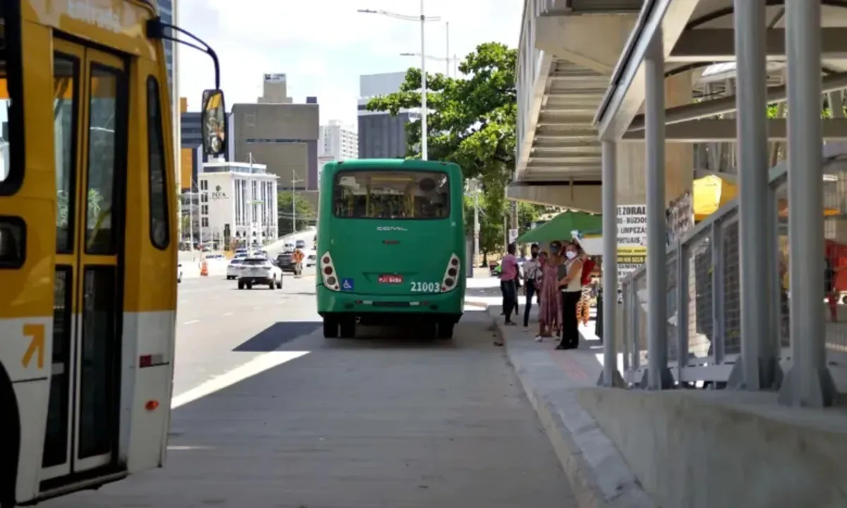 Serão 12 linhas de ônibus, que funcionarão das 7h às 17h, cobrindo diversas regiões da cidade.