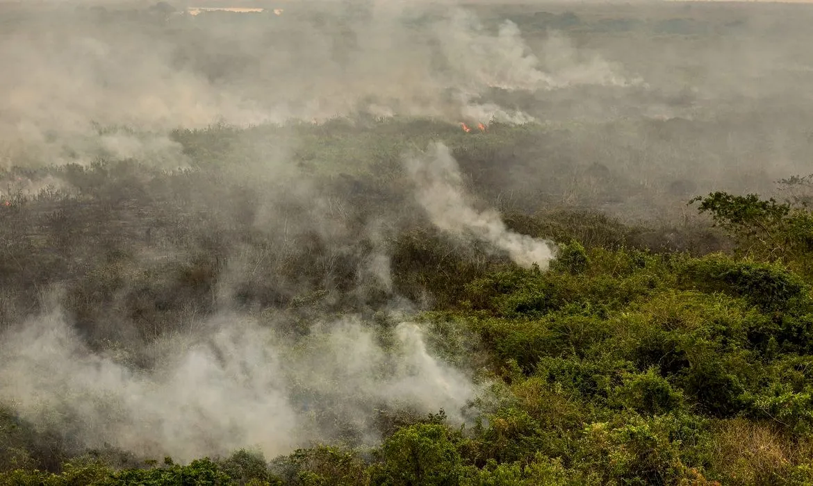 Expectativa é de que, com o reforço, se consiga reduzir o tempo de resposta no combate aos incêndios florestais