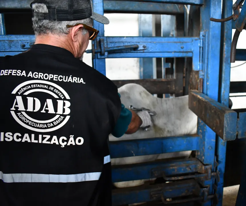 Imagem ilustrativa da imagem Governo da Bahia convoca inscritos no concurso da Adab para provas