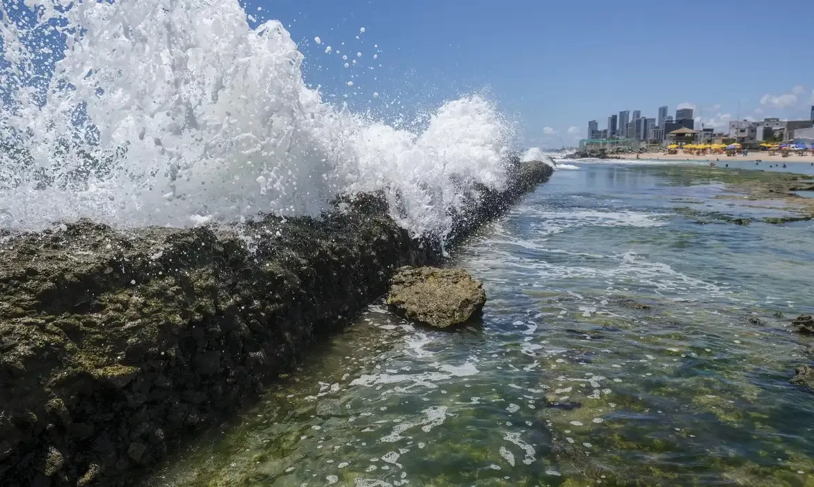 Imagem ilustrativa da imagem Governo quer barrar projeto que pode privatizar acesso a praias