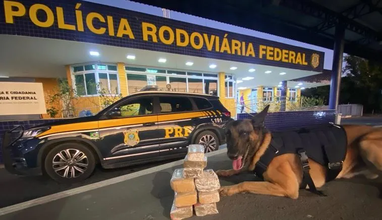 Drga foi localizada pelo cão K-9 da PRF