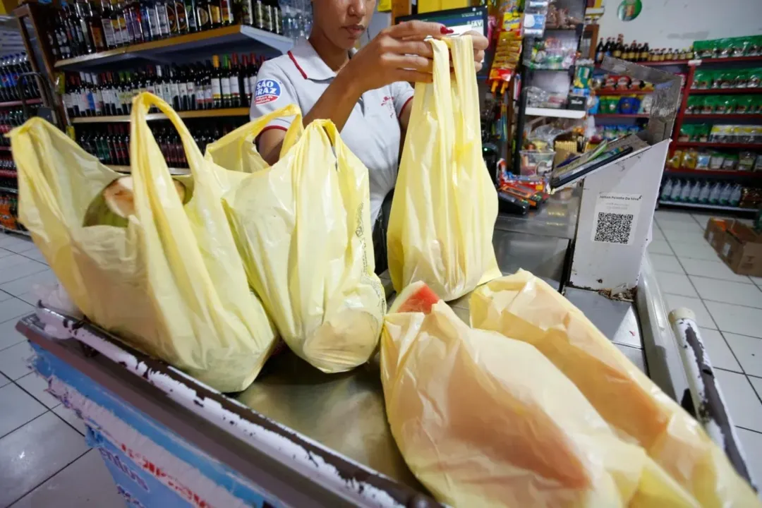 Lei estabelece que o comércio pode fornecer aos clientes alternativas aos sacos e sacolas plásticas, como sacolas de papel