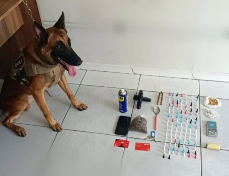 Drogas foram localizadas graças a ajuda do cão 'k-9'