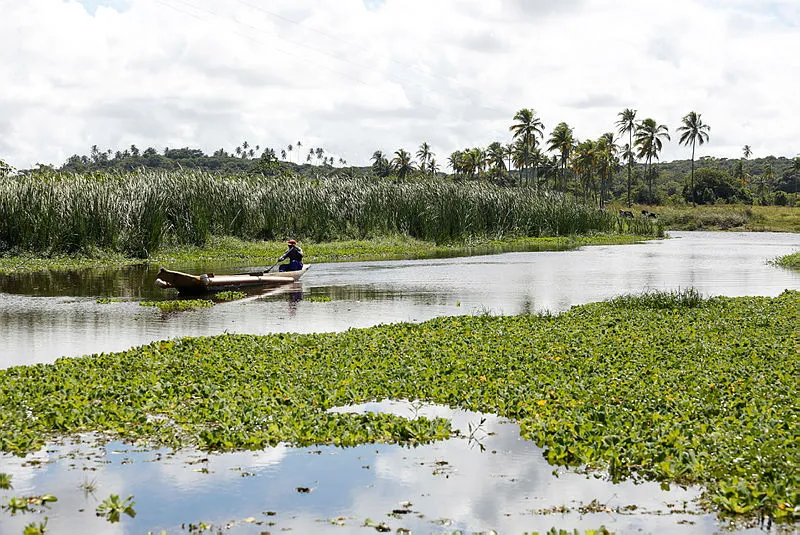 Pescadores da localidade de Areias, litoral de Camaçari, apresentam altos índices de insuficiência  renal provocada pela contaminação da água.