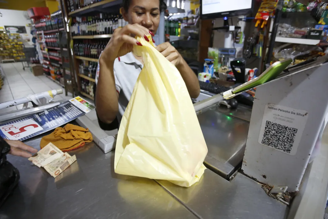 Imagem ilustrativa da imagem PL que proíbe cobranças de sacolas em Salvador tem data para votação