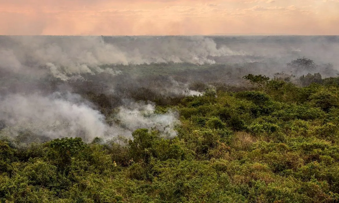 Estudo foi encomendado pelo WWF-Brasil e realizado pela empresa especializada ArcPlan