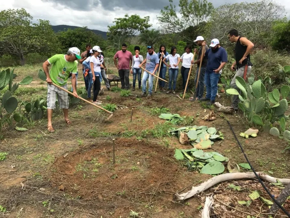 Produtores do semiárido implementam práticas sustentáveis de plantio