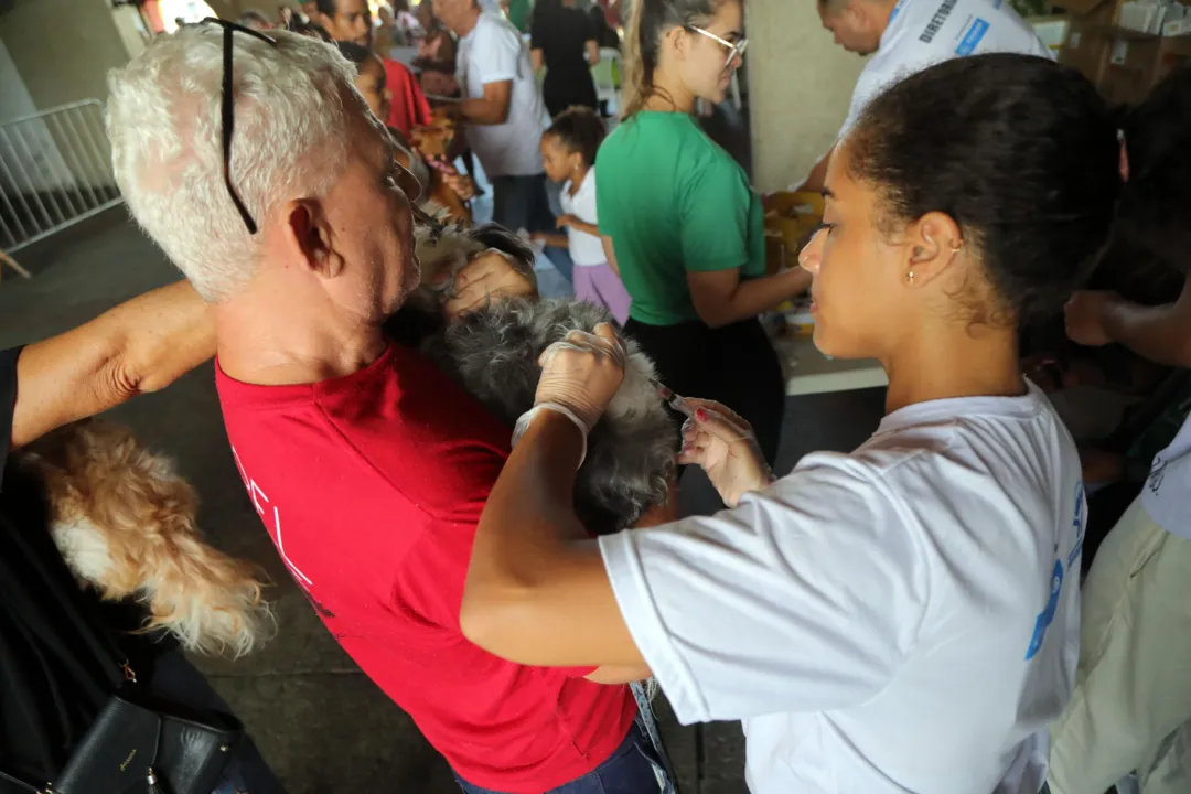 Vagas são para trabalhar em Salvador