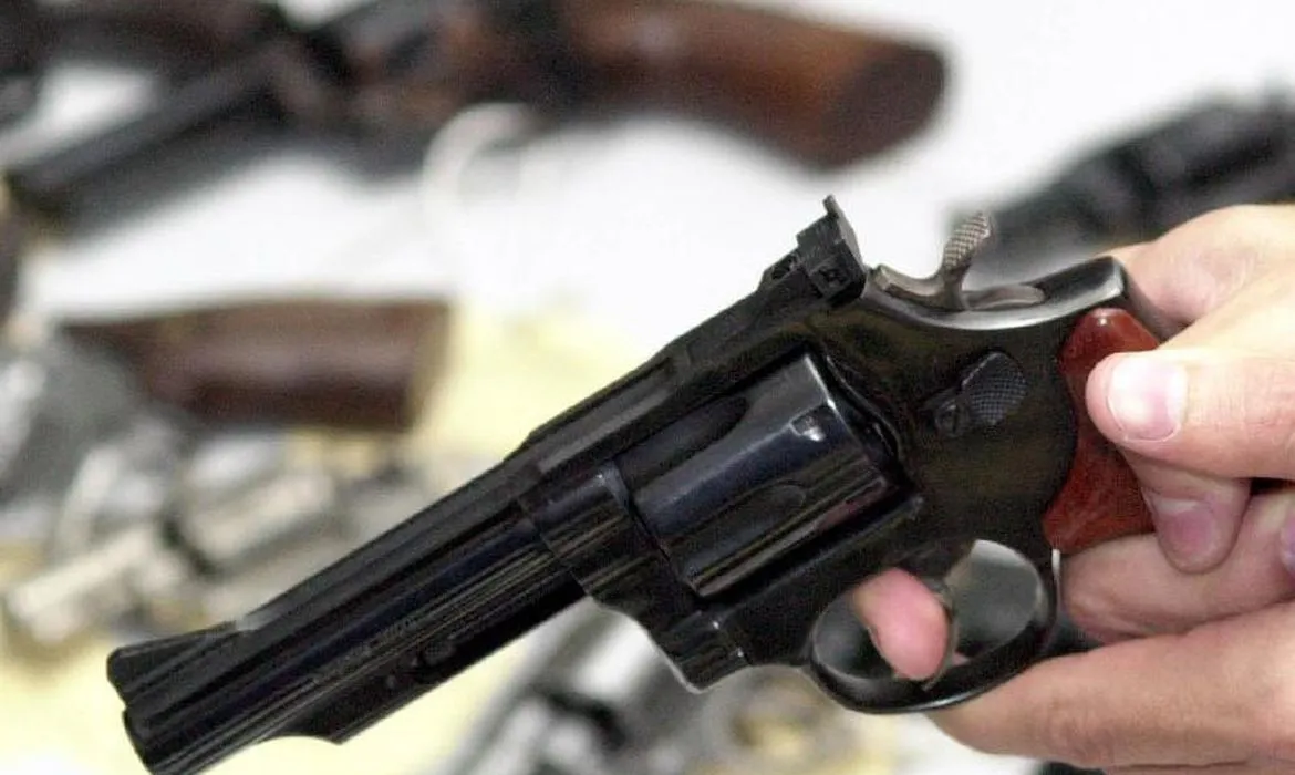 Proposta pode permitir que até 20% do imposto cobrado sobre armas seja devolvido.
