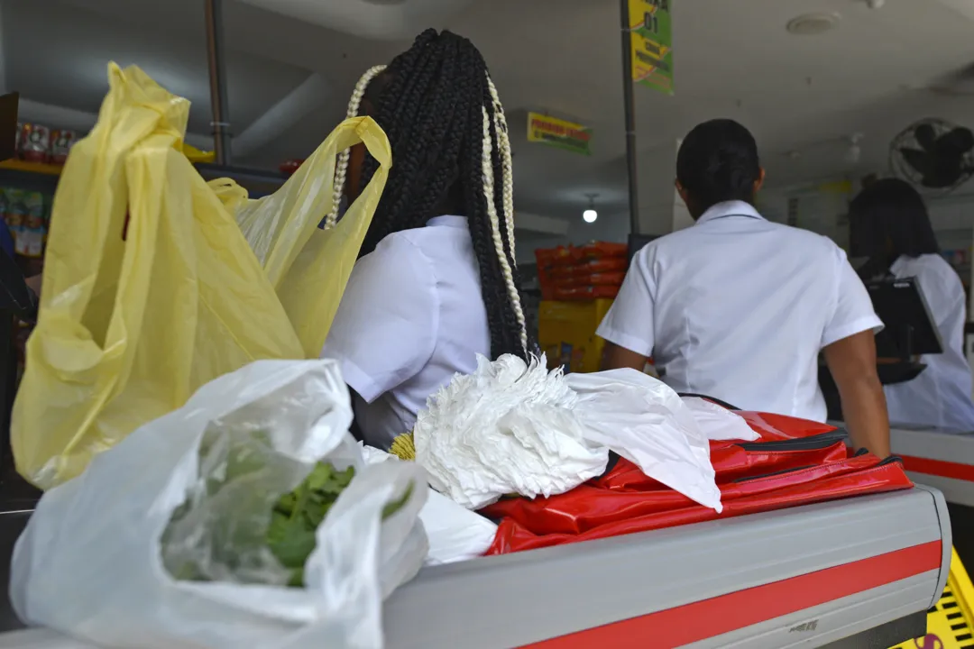 Começa a valer a partir de amanhã lei que obriga distribuição gratuita de sacolas sustentáveis