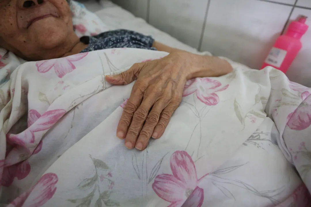 “Junho Violeta”