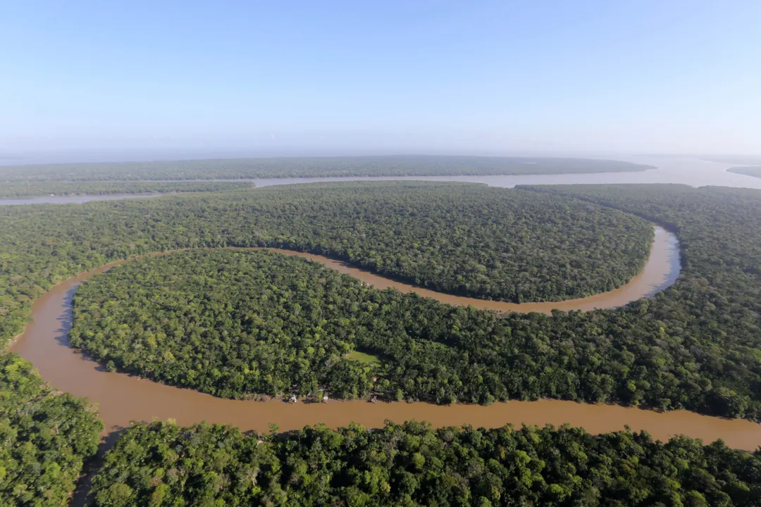 Floresta Amazônica - Amazonia