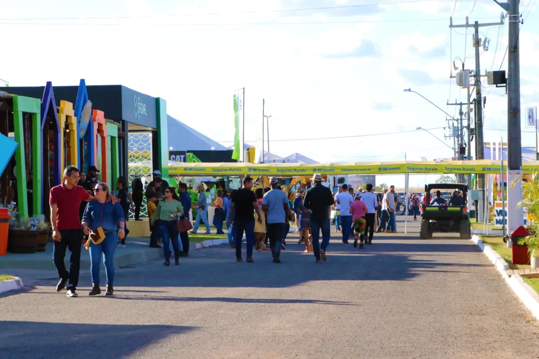 Imagem ilustrativa da imagem Todos os caminhos levam ao Oeste da Bahia