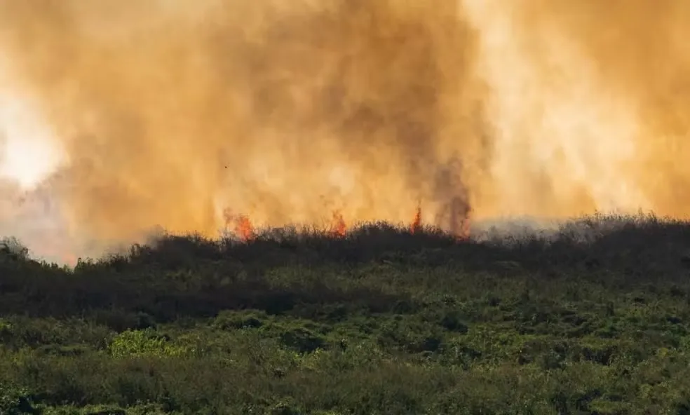 A área queimada neste ano no bioma chegou, até este domingo, 23, a 627 mil hectares