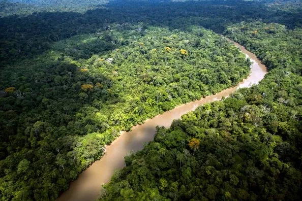 No primeiro semestre de 2024, o desmatamento na Amazônia brasileira caiu em 42% em comparação com o mesmo período de 2023