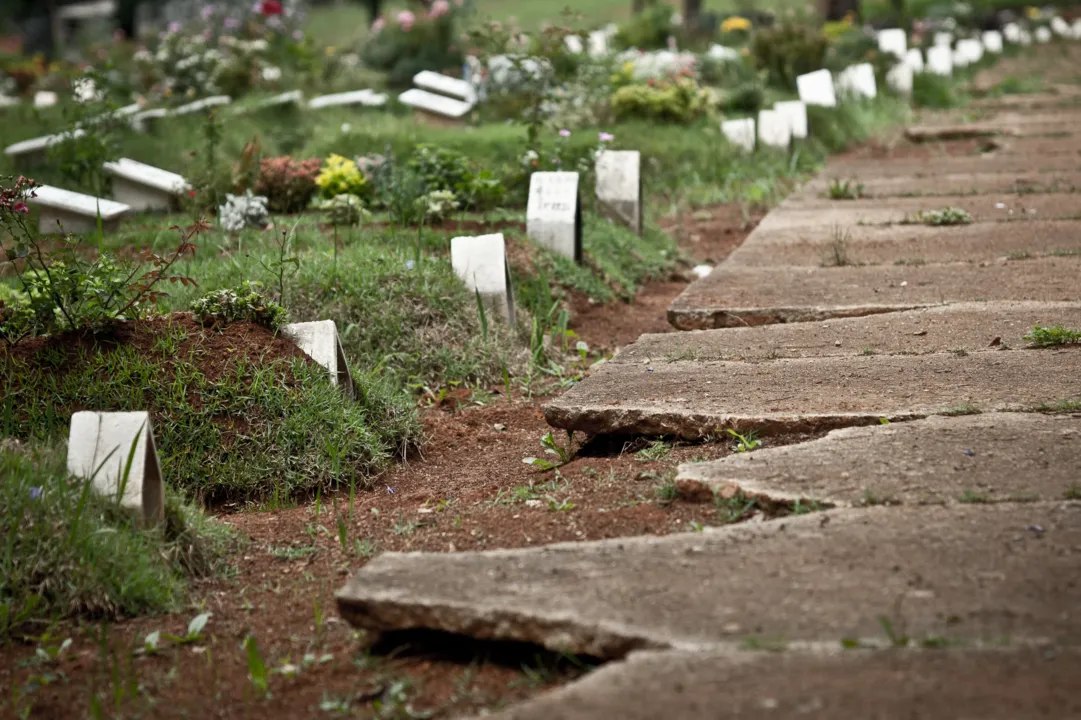 Imagem ilustrativa da imagem Vídeo: Adolescentes retiram corpo de túmulo e fazem piada em cemitério