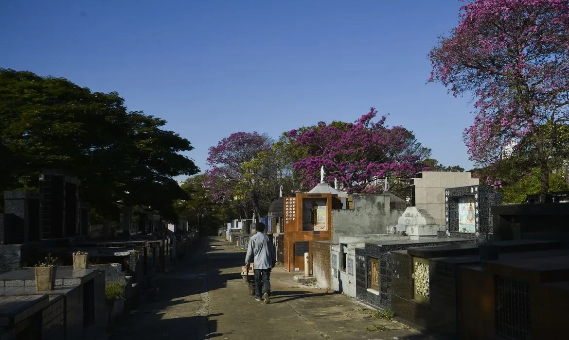 Imagem ilustrativa da imagem Viver entre sepulturas: Mulher chama cemitério de lar há 21 anos