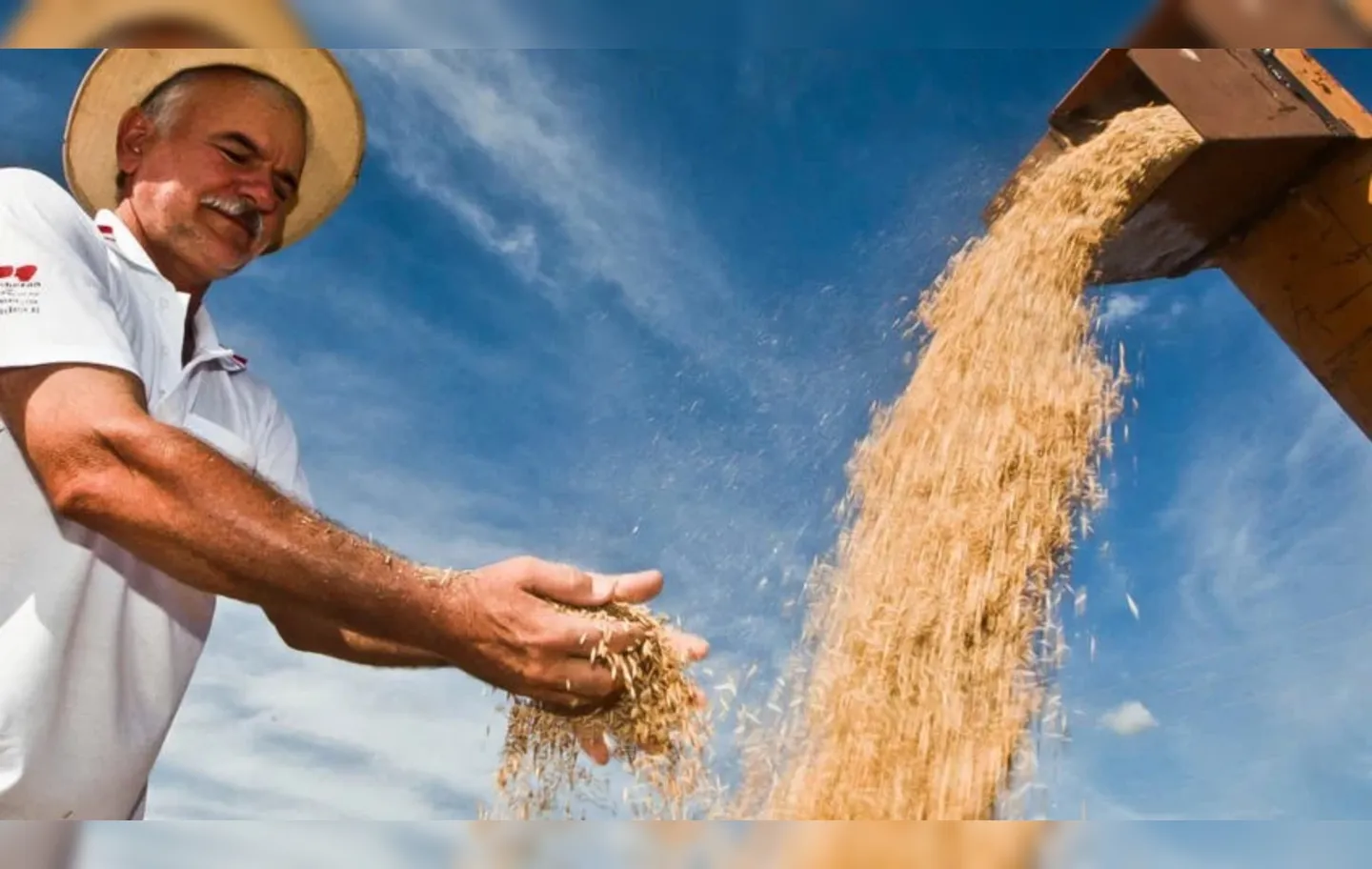 Entidades se posicionam contra decisão de Lula de importar arroz | A TARDE