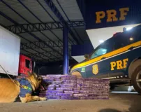 Imagem ilustrativa da imagem PRF localiza 150 kg de maconha em caminhão em Vitória da Conquista
