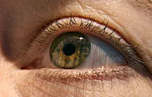 Imagem ilustrativa da imagem Pesquisa revela que latino-americanos desconhecem doenças da retina