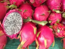 Imagem ilustrativa da imagem Raros sabores: Bahia cultiva frutas exóticas, e há nativas em profusão