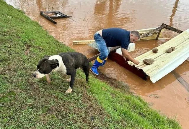 Imagem ilustrativa da imagem Cachorro salvo de enchente no RS fica 'nadando' no ar após resgate