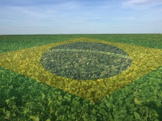 Agro brasileiro não merece sofrer de desconhecimento