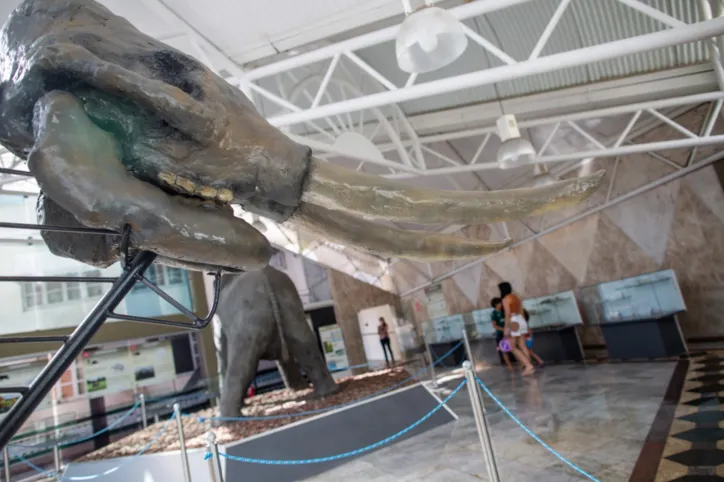Com acervo que reúne mais de 20 mil peças, Museu Geológico da Bahia (MGB) passou por uma grande reforma