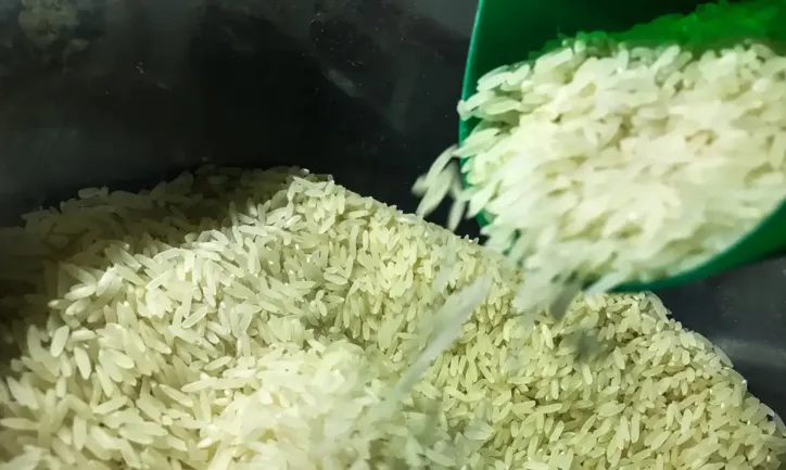 Imagem ilustrativa da imagem Governo erra ao lançar arroz importado com sua marca!