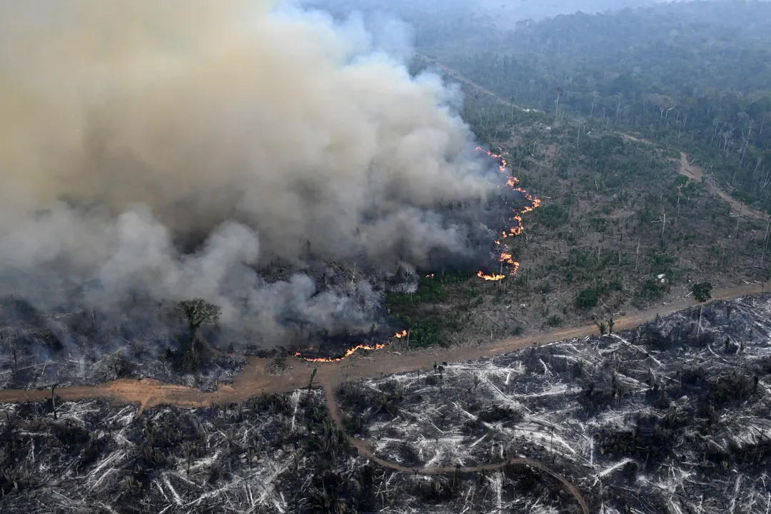 Vista aérea de uma área da floresta amazônica desmatada por queimadas ilegais no município de Lábrea, Estado do Amazonas, em 20 de agosto de 2024.