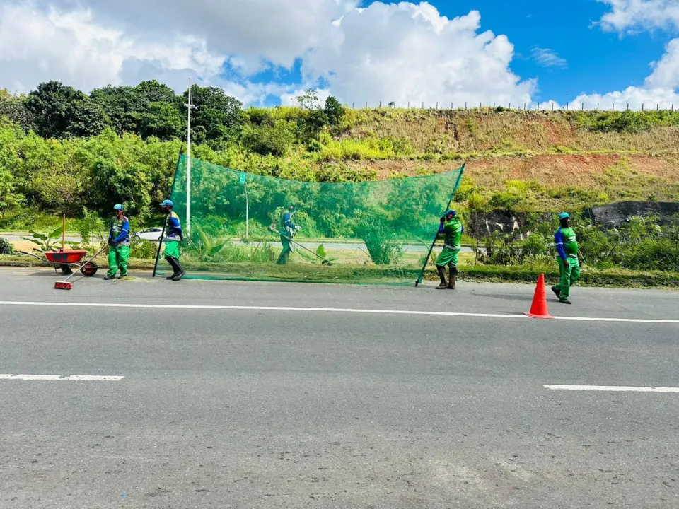 Empresa de Limpeza Urbana de Salvador (Limpurb)