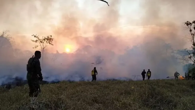 O Pará a declarou emergência ambiental por conta dos incêndios na região