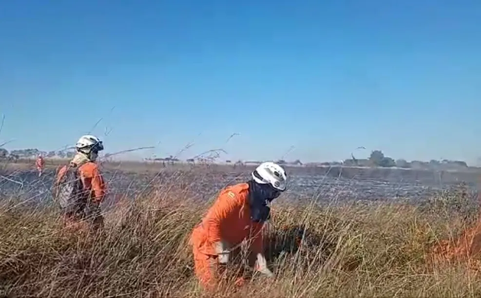 Imagem ilustrativa da imagem Bombeiros atuam no combate a incêndio florestal no oeste do estado