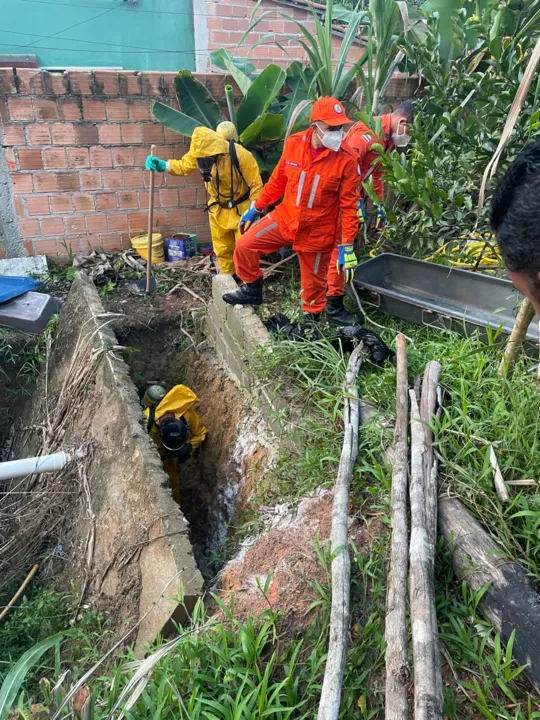 Proprietário do terreno acionou os Bombeiros para o resgate