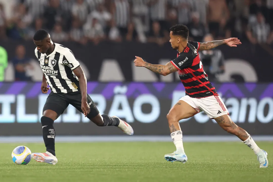 Botafogo é o novo líder do Brasileirão