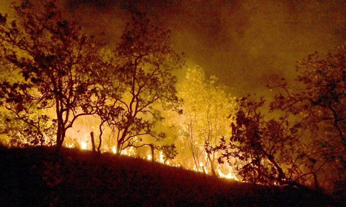 Brasil registrou 180.137 focos em 2024, 50,6% dos incêndios da América do Sul