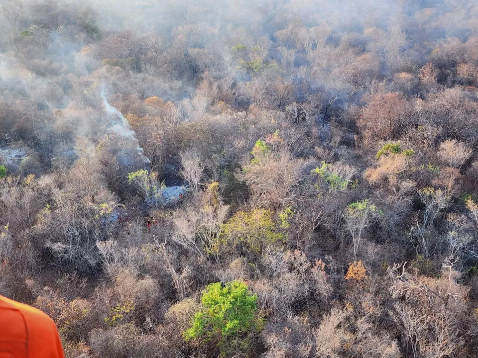 São Francisco, no oeste da Bahia é a região que mais registrou focos de calor na Bahia. Este ano o estado já registrou mais de 5 479 focos, por satélites pelo programa de Monitoramento de Queimadas do Instituto Nacional de Pesquisas Espaciais (Inpe).